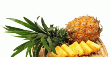 Почему ананас необходимо включать в рацион каждому человека: польза и вред фрукта для здоровья Какой лучше есть - свежий или консервированный
